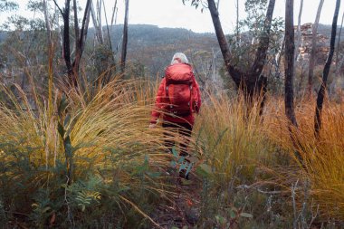 Yoğun çalıların arasında yürüyen kadın yürüyüşçü henüz aşılamamış uzak dağlara bakıyor.