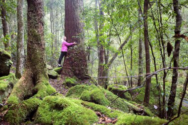 Avustralya 'da yemyeşil bir ormanda yaşlı bir ağaca sarılıyor. Ormanlardan yayılan kızılötesi ışığın bağışıklık sisteminin güçlendirilmesi, kan basıncının azaltılması ve daha birçok sağlık yararının da dahil olmak üzere insan sağlığına birçok faydası vardır..
