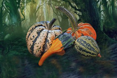 Sonbahar yaprakları, balkabakları, balkabakları ve yerdeki yapraklar. Cadılar Bayramı ve Şükran Günü. yüksek kaliteli fotoğraf