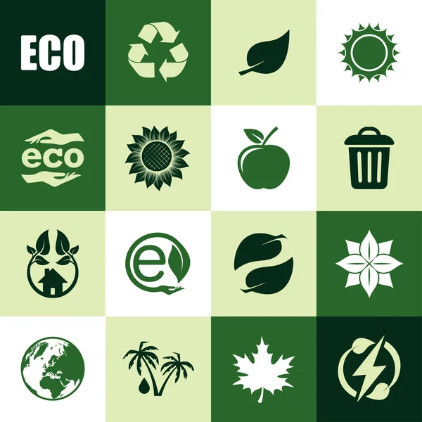 Conjunto Sólidos Verdes Delinear Eco Ícones Naturais Etiquetas Saudáveis Ecológicas —  Vetores de Stock