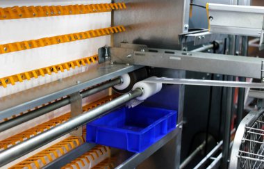 Close-up view of Chicken automated cage farming egg processing equipment