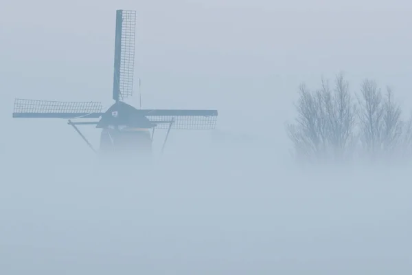 荷兰风车在地面雾与树木 — 图库照片