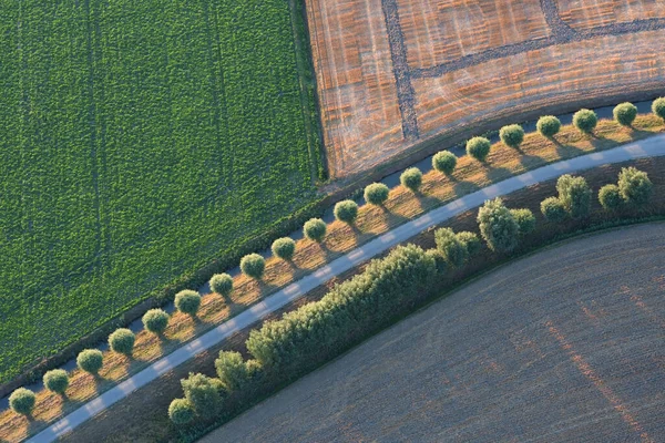 Вид Воздушного Шара Велосипедной Дорожке Деревьями Стоковое Изображение