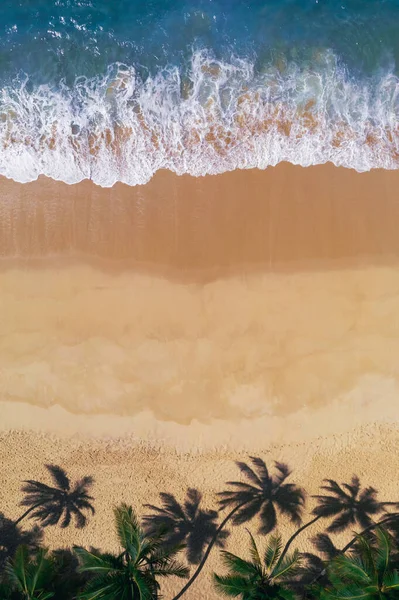 顶级无人驾驶飞机俯瞰美丽的亚洲热带海滩 拥有黄沙棕榈树和清澈的水 完美的海岸与沙子和可可棕榈 旅游和度假休闲纵向全景 — 图库照片