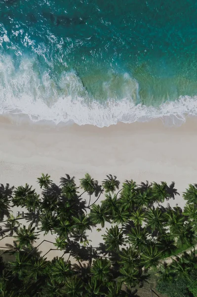 高空无人驾驶飞机俯瞰美丽的热带海滩 有着洁白的沙地棕榈树和清澈的水 完美的海岸与沙子和可可棕榈 旅行和度假休闲全景背景概念 — 图库照片