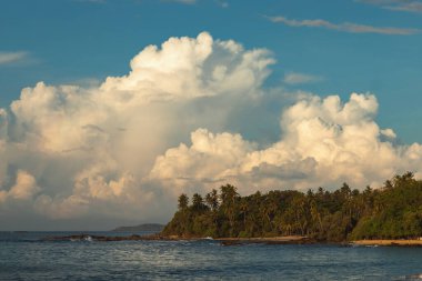 Güneşli bir günde Sri Lanka 'nın güney kesiminde vahşi bir tropik plaj manzarası. Yüksek kalite fotoğraf
