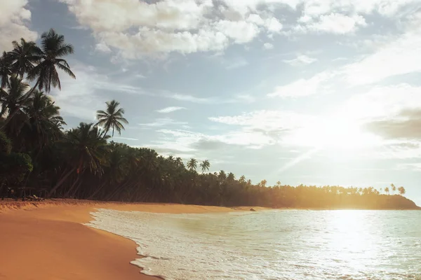 Hindistan Cevizi Palmiyelerinin Altında Mükemmel Kumlu Sri Lanka Plajında Son — Stok fotoğraf