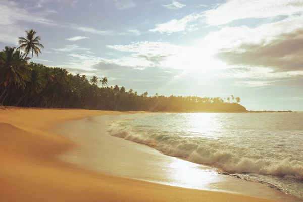 美丽的日落在椰子树下完美的沙滩上 高质量的照片 — 图库照片