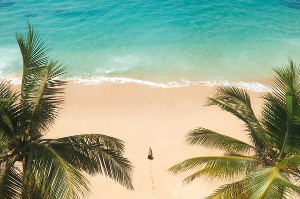 空中无人驾驶飞机看到美丽的热带海滩 白色的沙地棕榈树和清澈的水和女人模型黑色比基尼 完美的海岸与沙子和可可棕榈 旅行和度假胜地休闲全景 — 图库照片