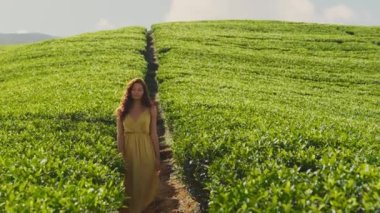 Traveler woman walking among tea trees during her travel to famous nature landmark tea plantations. Romantic brunette Asian girl in stylish yellow dress walking, enjoying her vacations against perfect