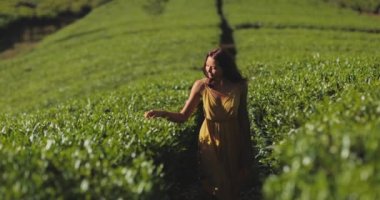 Traveler woman walking among tea trees during her travel to famous nature landmark tea plantations. Romantic brunette Asian girl in stylish yellow dress walking, enjoying her vacations against perfect