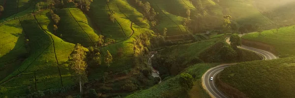 Aerial Drone View Scenery Road Green Mountains Hills Tea Plantations — Stock Photo, Image
