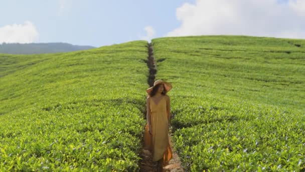낭만적 스타일의 스리랑카의 농장의 과맞서 드레스를 모자를 여성의 — 비디오