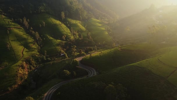 Αεροφωτογραφία Drone Του Γραφικού Δρόμου Μέσα Από Καταπράσινους Λόφους Βουνά — Αρχείο Βίντεο