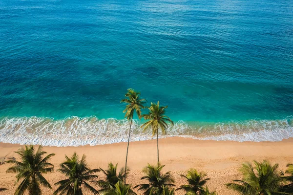 空中无人驾驶飞机俯瞰美丽的未被触动的热带海滩 拥有棕榈树和清澈的水 完美的海岸 沙滩和椰子树 旅游及旅游业令人惊奇的海滩景观 — 图库照片