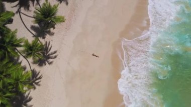 Hava aracı beyaz kum palmiyeleri, temiz su ve siyah bikinili bir kadın modelle güzel bir tropikal plaja sahiptir. Kum ve kakao palmiyeleri olan mükemmel bir sahil. Seyahat ve tatil.