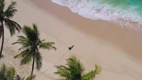 Hava Aracı Beyaz Kum Palmiyeleri Temiz Siyah Bikinili Bir Kadın — Stok video