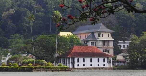 Panorama Deslumbrante Lago Templo Kandy Belo Lugar Deslumbrante Coração Cidade — Vídeo de Stock