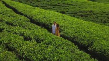 Havadan İnsansız Hava Aracı 'nın arka plan çay tarlaları manzarası. Birbirine aşık iki romantik yolcuyla birlikte. 