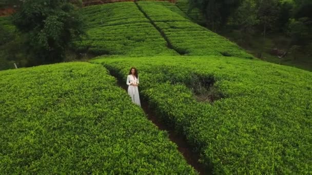 空中ドローンロマンチックな歩行女性旅行者と山の中で自然背景茶プランテーションのビュー スリランカのヌワラエリヤ — ストック動画