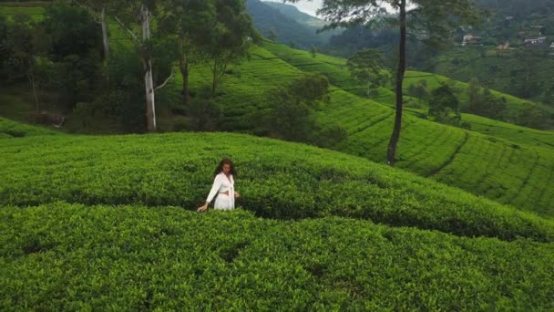 空中ドローン遠くを見るロマンチックな女性旅行者と自然背景の茶畑の風景の眺め — ストック動画