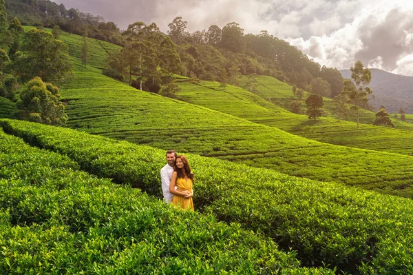 Aerial Drone View Natures Background Tea Plantations Landscape Romantic Couple — Stock Photo, Image