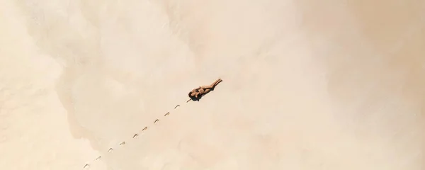 모래사장의 비키니를 여성의 현수막 성명서를 만들어 사진은 사진에서 캡쳐되었습니다 여행이나 — 스톡 사진