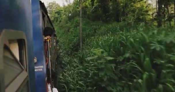 Sri Lanka Train Ride Mountain Rainforests Railway Tunnels High Quality — Stok video