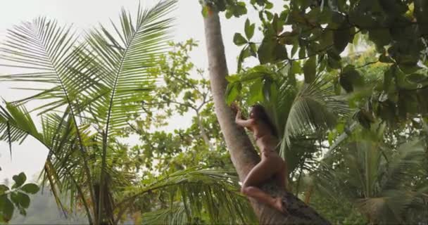 Молодая Привлекательная Азиатская Модель Наслаждается Прекрасным Днем Тропическом Балийском Курорте — стоковое видео