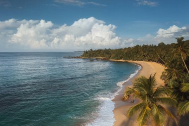 Palmiye ağaçları ve dalgalı deniz sörfü olan güzel kumlu sahil beldesi. Sessiz Sahil, Sri Lanka. Yüksek kaliteli fotoğraf.