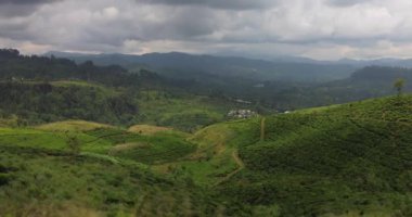 Sri Lanka 'da hareket halindeki bir trenden alınan yeşil çay terasları. Yüksek kalite yavaş çekim. Ünlü turist doğasının 4K görüntüsü.