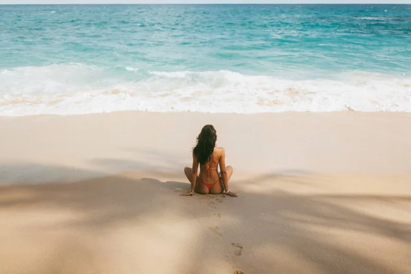 身穿红色泳衣的比基尼海滩女子躺在热带海滨的棕榈树树荫下 望着大海 暑假期间再次观赏美丽的合身模特 高质量的 — 图库照片