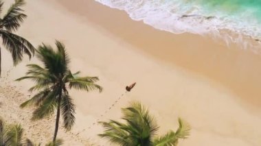 Hava aracı beyaz kum palmiyeleri, temiz su ve siyah bikinili bir kadın modelle güzel bir tropikal plaja sahiptir. Kum ve kakao palmiyeleri olan mükemmel bir sahil. Seyahat ve tatil.