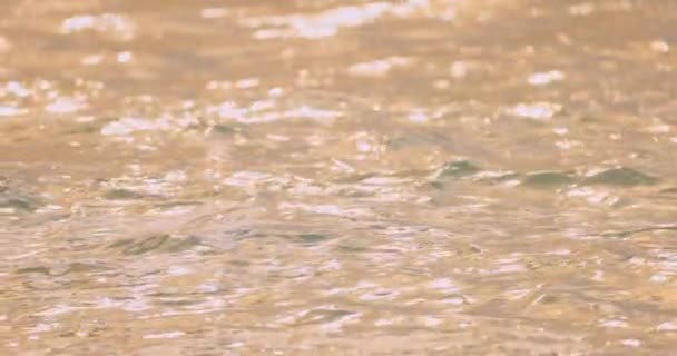 スローモーション クラッシュアップ 抽象的な夏の海の夕日 ぼやけた波 太陽の反射 ボケの背景 黄金の海面の美しさ 高品質の4K映像 — ストック動画