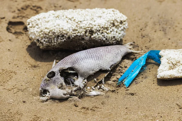 Peixe Morto Poluição Plástica Praia Areia Problema Ambiental Plásticos Contaminam — Fotografia de Stock