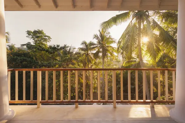 Outdoor wooden terrace on luxury villa with a picturesque view of the jungle in the morning High quality photo