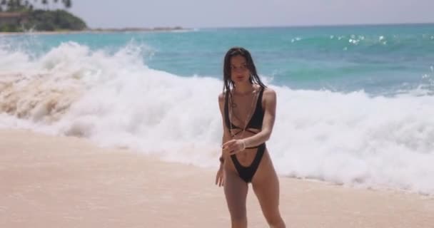 完璧な砂浜のワンピースブラック水着に完璧なタンニン付きのファッショナブルなビキニビーチモデルの夏の熱帯リラクゼーション 水泳後に海水から出る豪華な女性 — ストック動画