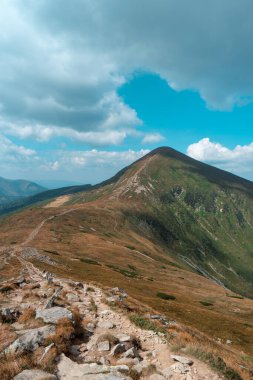 Ukrayna 'nın Karpat Dağları' nda yürüyüş yolu. Güzel manzaralı yaz manzarası ve yükselen Hoverla zirvesi. Yüksek kalite fotoğraf