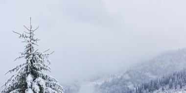 Sisli bir sabah dağlarında, tepeleri ve ormanı olan soyut kış manzarası. Güzel bir kış ormanı manzarası.
