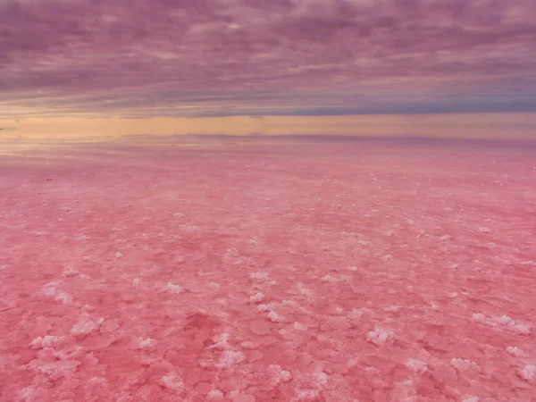 ピンク湖 信じられないほどの自然の風景 塩湖がピンクになった 美しいピンク湖の岸に赤い塩が堆積しています 高品質の写真 — ストック写真