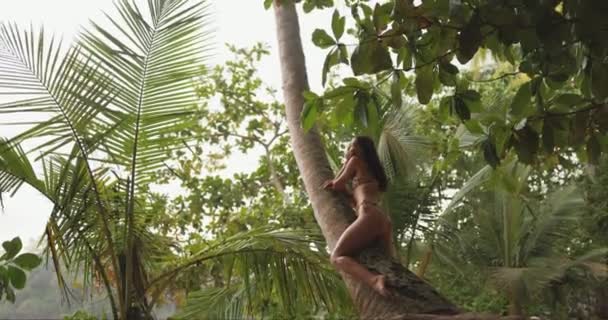 Młoda Dorosła Kobieta Modnym Bikini Nadrukiem Lamparta Beztrosko Siedząca Palmie — Wideo stockowe