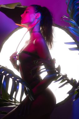 Mor ve mavi LED neon ışıklar ve oktavla aydınlatılmış siyah seksi iç çamaşırı giymiş yüksek moda Asyalı kadın modeli Strelitzia reginae Cennet Kuşu Çiçeği ile poz veriyor. Güzel sanatlar