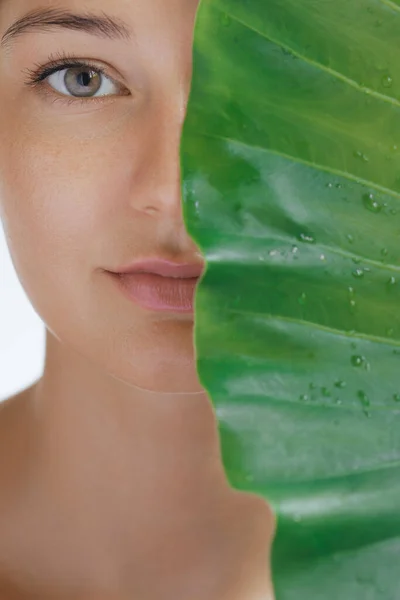 Natural Cosmetics Skin Care Beauty Product Portrait. Woman with beautiful face and healthy facial skin covering her half face by big tropical green leaf.