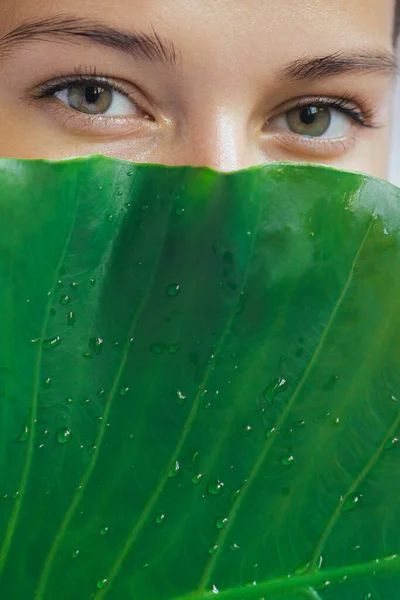 Natural skincare beauty portrait photo of a beautiful young woman hiding her face behind a green palm leaf while looking at the camera. High-quality adv studio photo of natural cosmetics and beauty