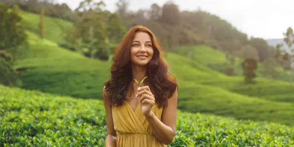 Traveler woman picking up green tea leaves in hand during her travel to famous nature landmark tea plantations. Romantic brunette girl in stylish yellow dress enjoying her vacations against perfect