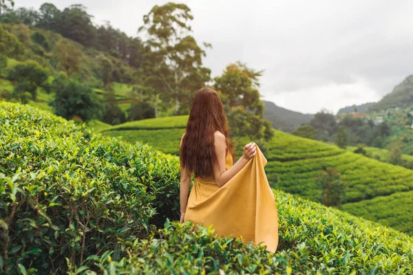 Woman traveler walking in yellow dress at the tea plantations in Nuwara Eliya, Sri Lanka. Rearview of slim romantic tourist girl outdoors on nature. High quality photo