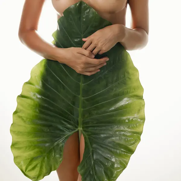 Wanita Cantik Menutupi Tubuh Telanjang Dengan Daun Alam Tropis Gadis Stok Foto Bebas Royalti