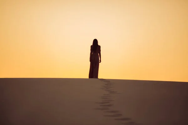 Silhouette of walking romantic fashionable woman model on the desert dunes, dressed in evening pink dress. Back view of gorgeous slim girl outdoor epic high quality photo