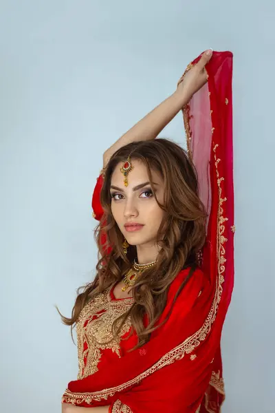 Retrato Beleza Menina Indiana Sari Nupcial Vermelho Posando Estúdio Jovem Fotos De Bancos De Imagens