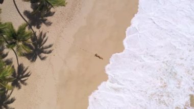 Hava aracı beyaz kum palmiyeleri, temiz su ve siyah bikinili bir kadın modelle güzel bir tropikal plaja sahiptir. Fotokopi alanı olan seyahat ve tatil mekanı konsept görüntüler